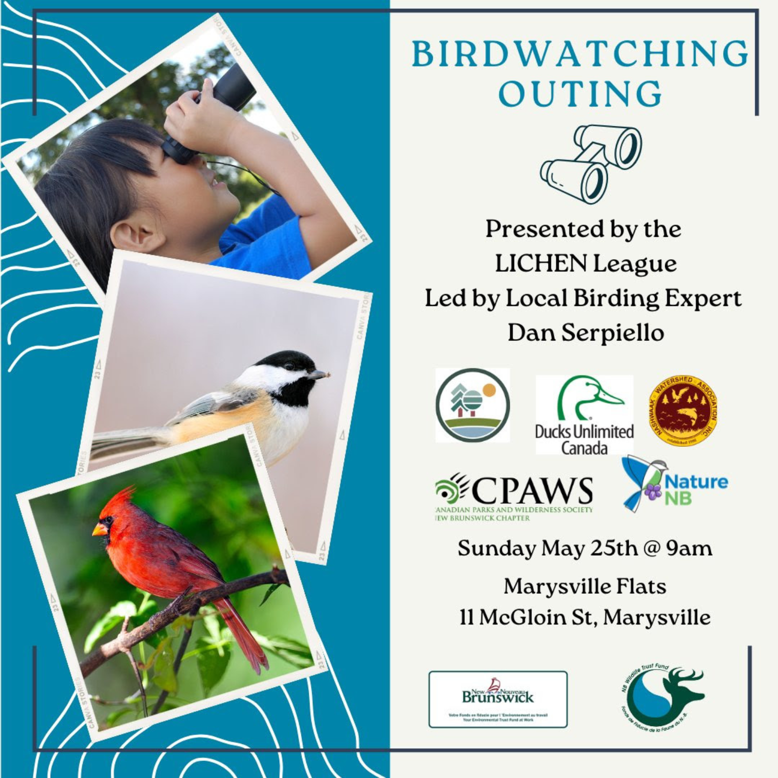 Birdwatching Outing